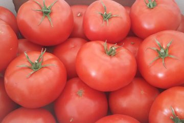 pomidory